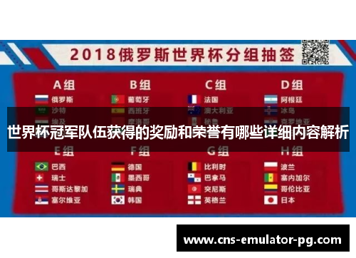 世界杯冠军队伍获得的奖励和荣誉有哪些详细内容解析