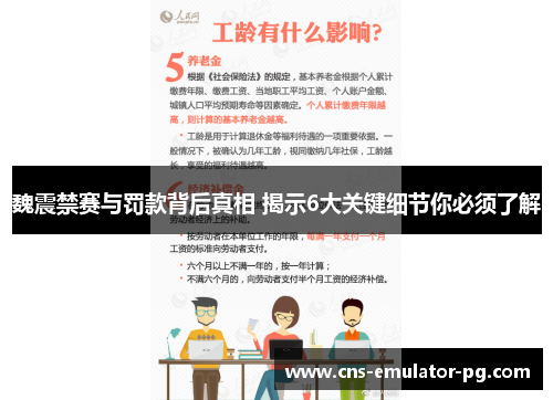 魏震禁赛与罚款背后真相 揭示6大关键细节你必须了解