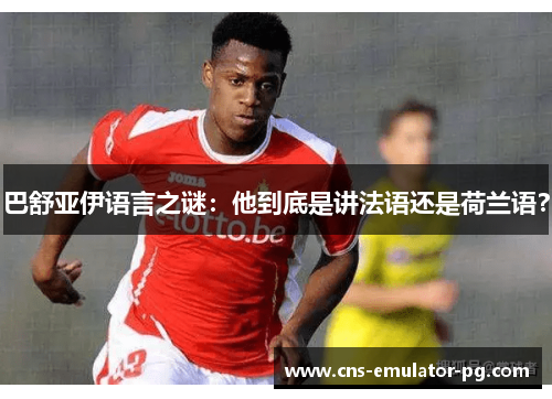 巴舒亚伊语言之谜:他到底是讲法语还是荷兰语? 巴舒亚伊语言之谜:他到底是讲法语还是荷兰语?