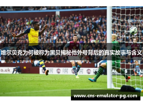 维尔贝克为何被称为黑贝揭秘他外号背后的真实故事与含义